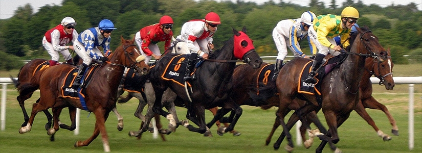 Wyścigi konne bukmacherzy
